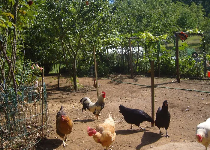 La Jaubertie Labellise Handicap Meyrals